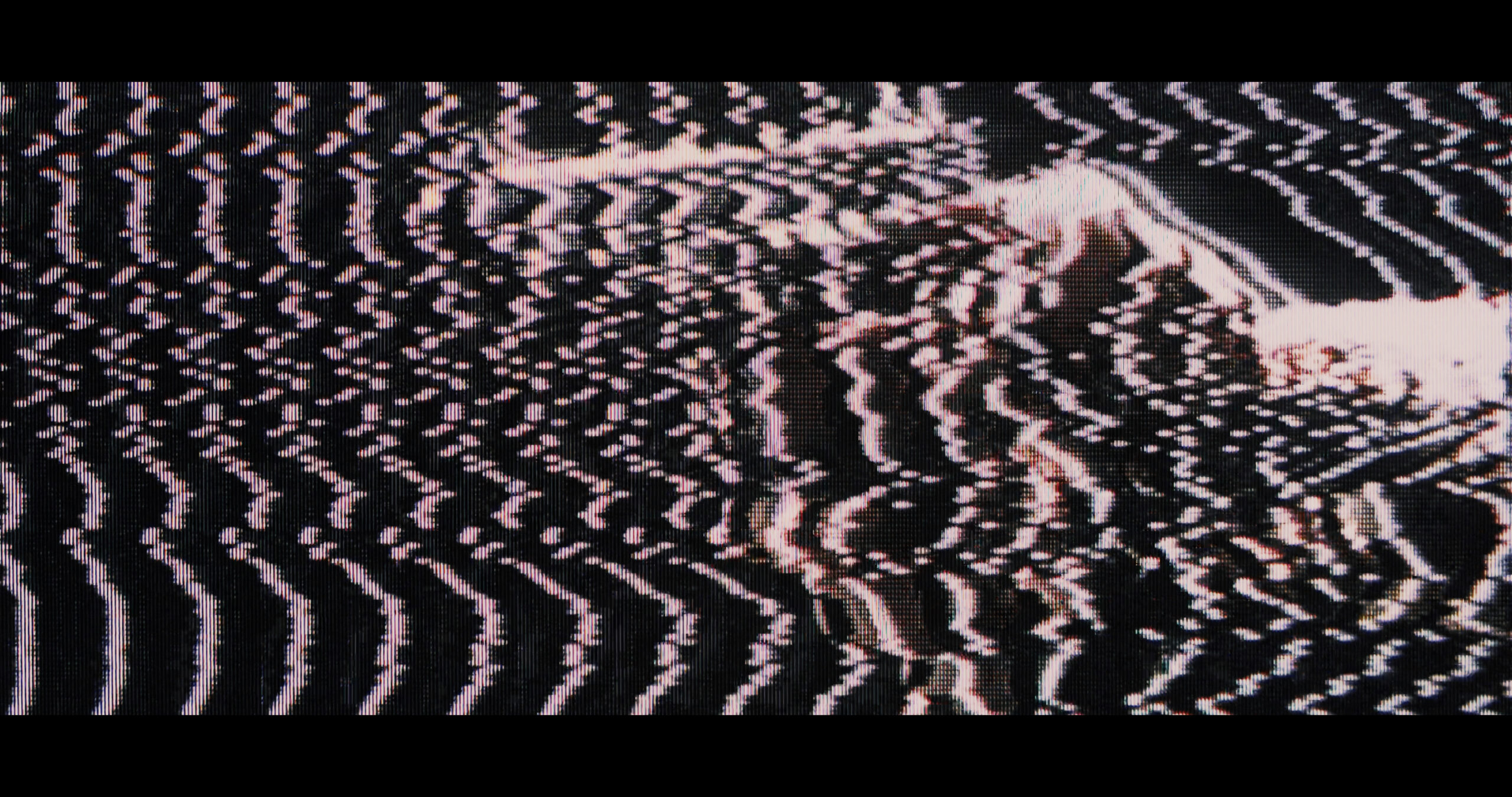 VIDEODROME_TITLE_V008.00_00_30_21.Still027